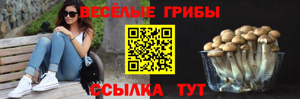 Камышлов  Галлюциногенные грибы мицелий  Вход с VPN 